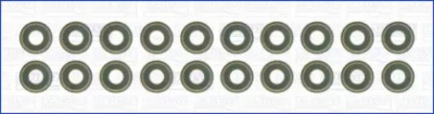 WILMINK GROUP wg1170011 -  